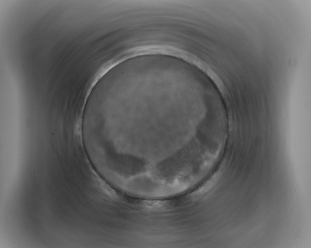 X0000111151529200907141331