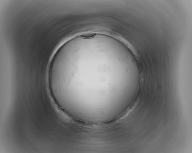 X0000111151530200907141331