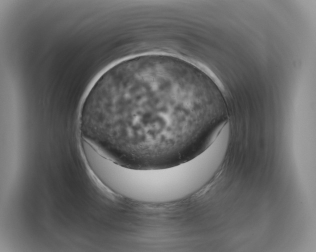 X0000111151532200907141331