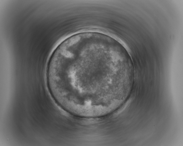 X0000111151533200907141331