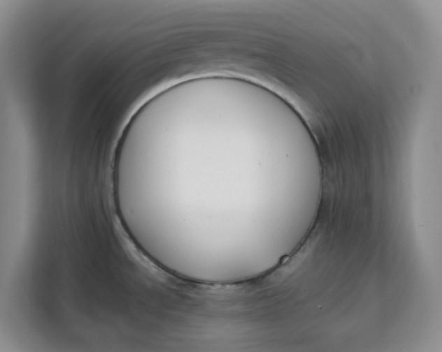 X0000111151534200907141331