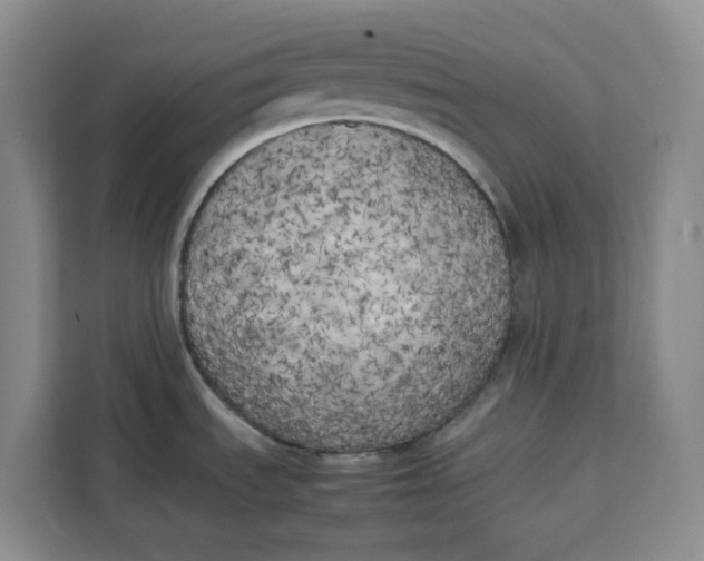 X0000111151535200907141331