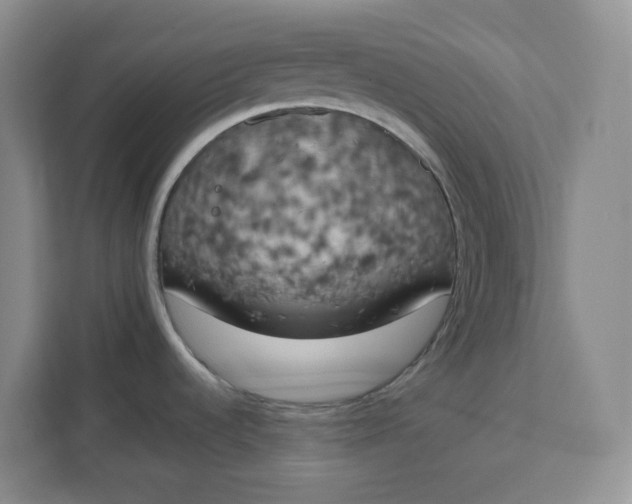 X0000111151536200907141331