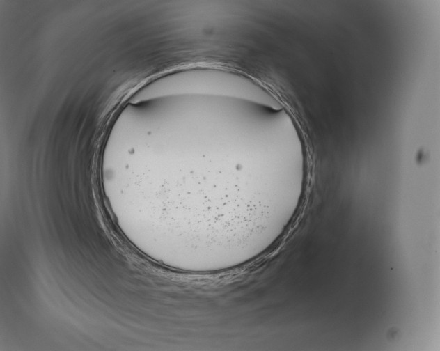 X0000111150001200907211214