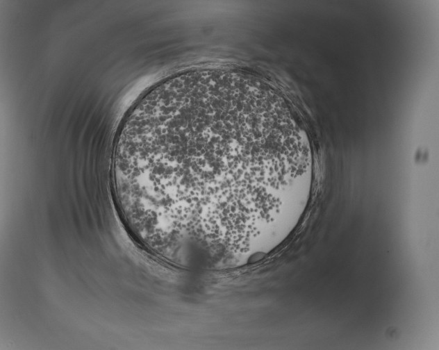 X0000111150003200907211214