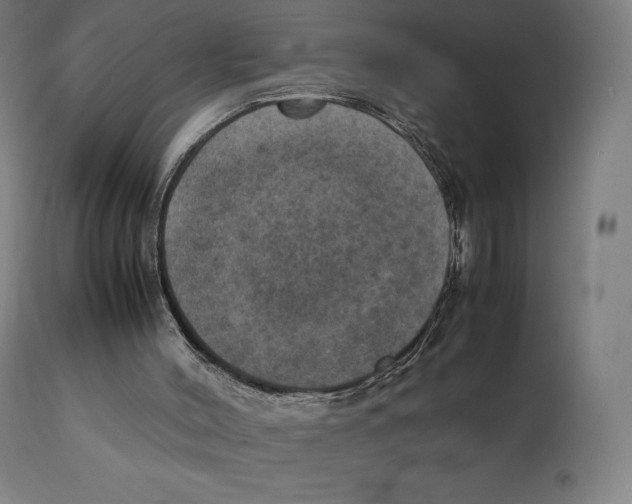 X0000111150004200907211214