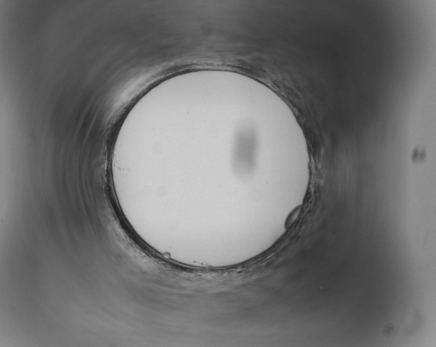 X0000111150005200907211214