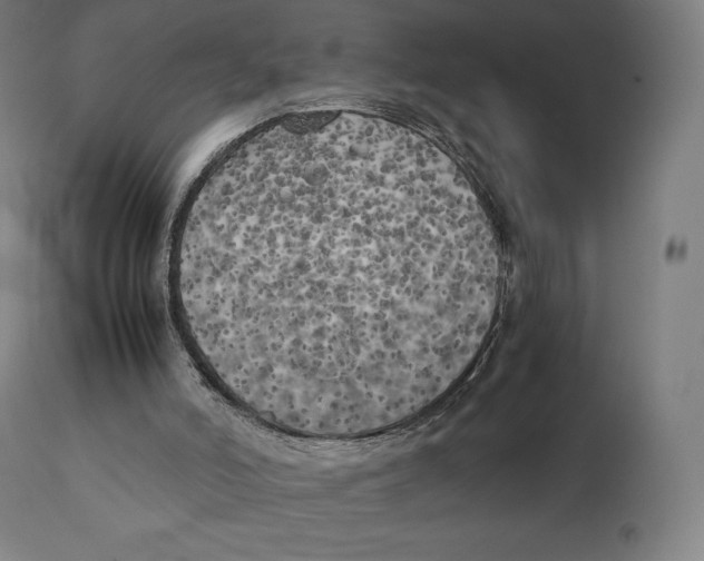 X0000111150006200907211214