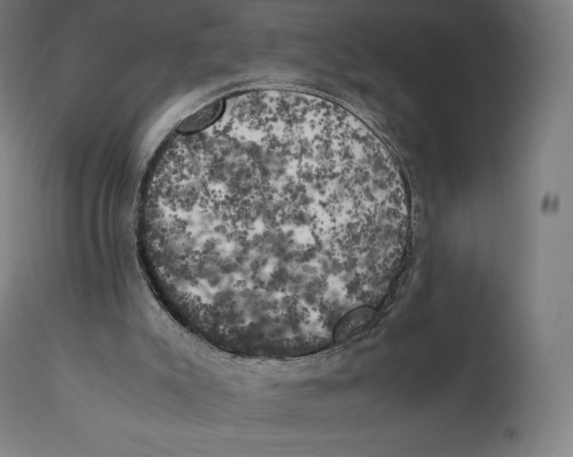 X0000111150007200907211214