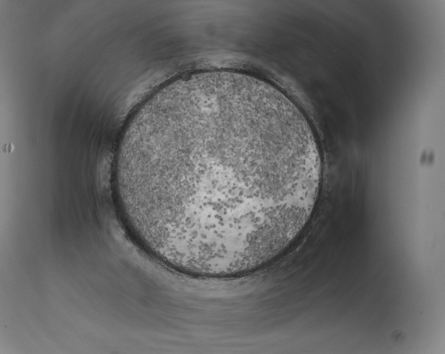 X0000111150010200907211214