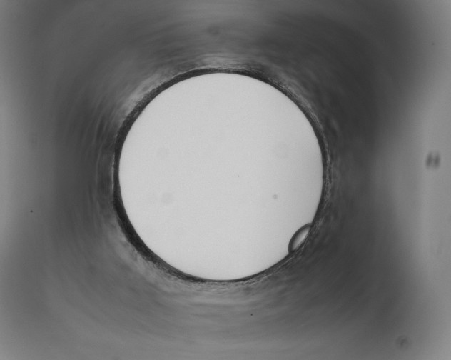 X0000111150011200907211214