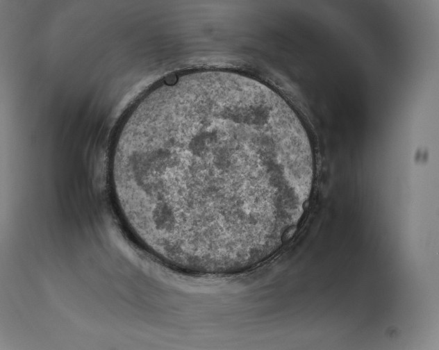 X0000111150012200907211214