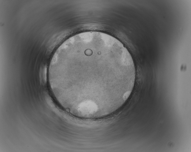 X0000111150014200907211214