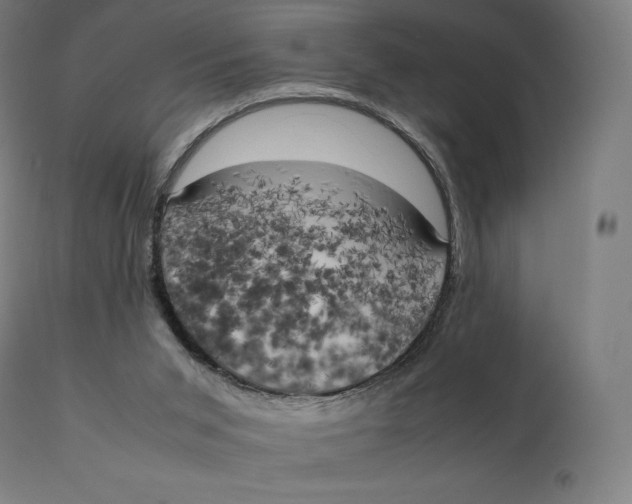 X0000111150015200907211214