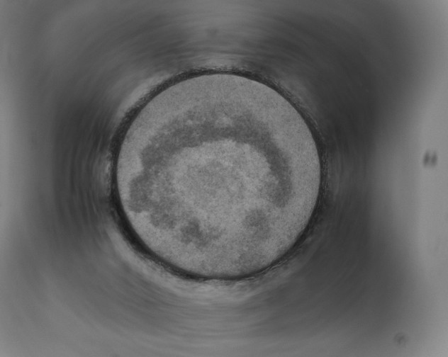 X0000111150016200907211214