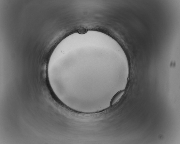 X0000111150019200907211214