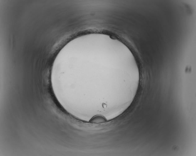 X0000111150023200907211214