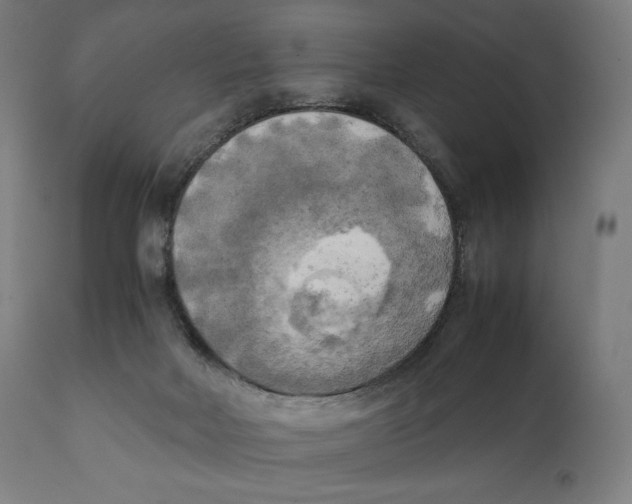 X0000111150026200907211213