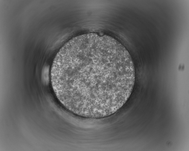 X0000111150028200907211213