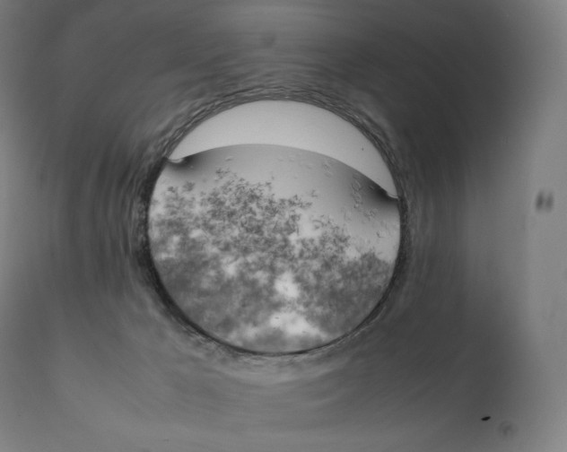 X0000111150029200907211213