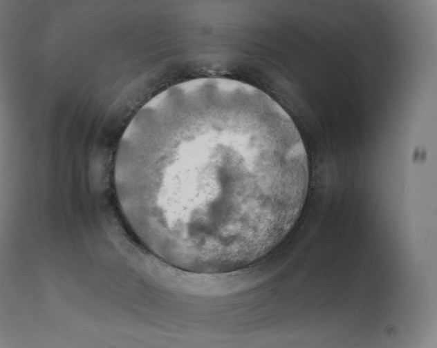 X0000111150030200907211213