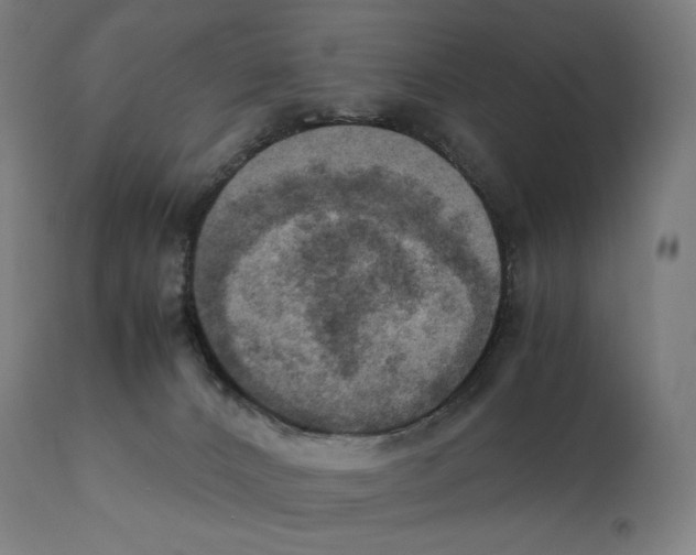 X0000111150032200907211213