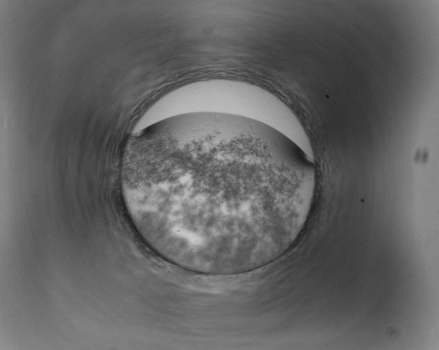 X0000111150033200907211213