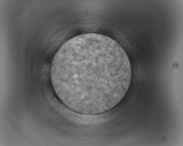 X0000111150034200907211213