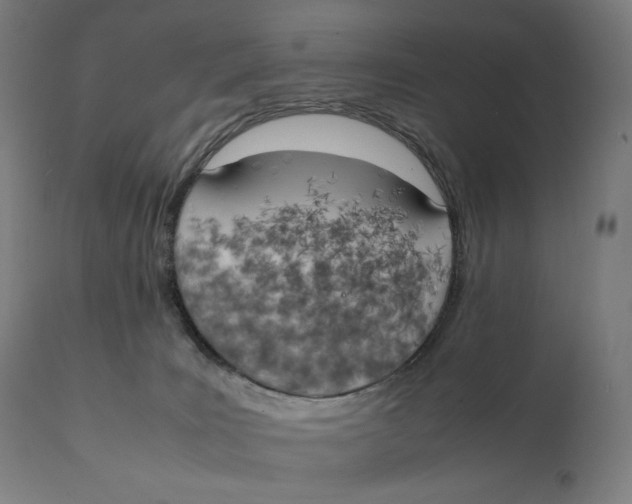 X0000111150035200907211213