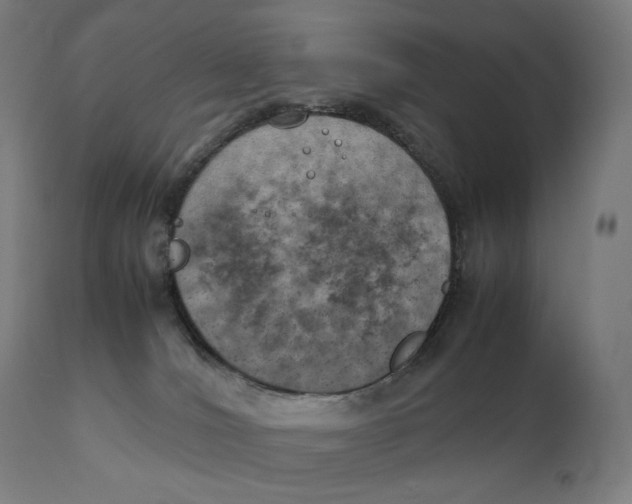 X0000111150036200907211213