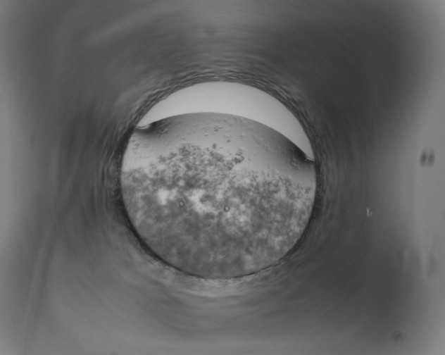 X0000111150037200907211213