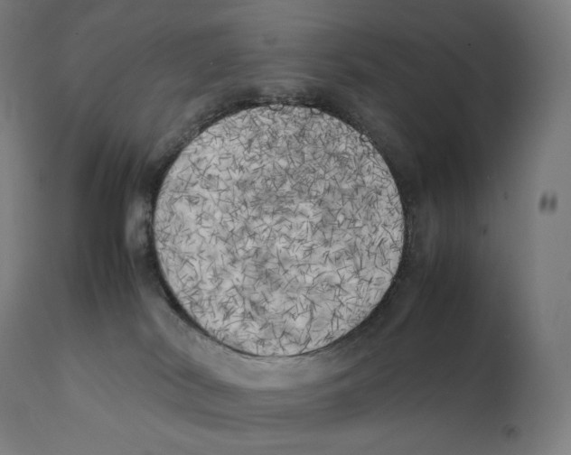 X0000111150038200907211213