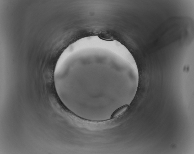 X0000111150039200907211213