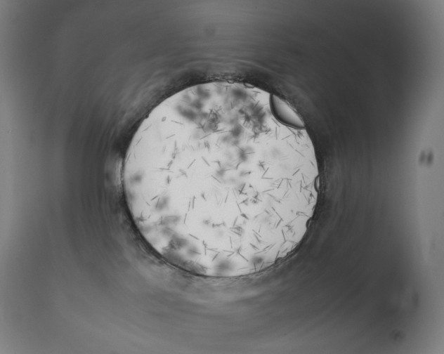 X0000111150041200907211213