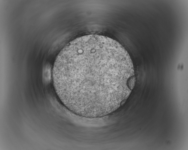 X0000111150042200907211213