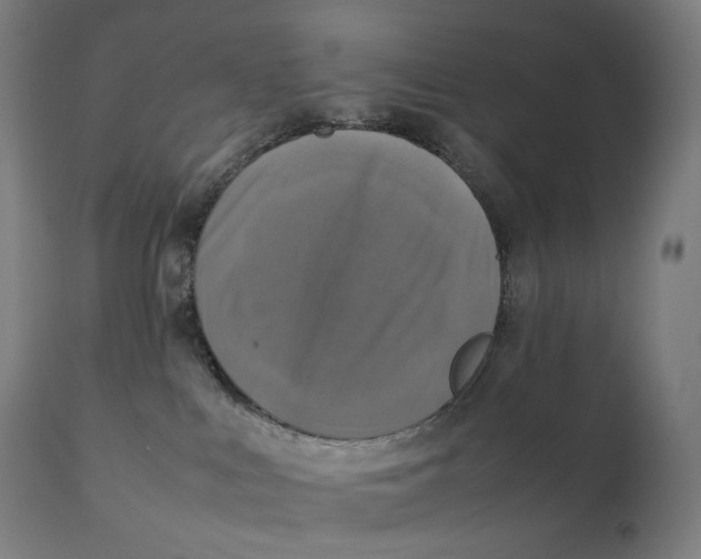 X0000111150043200907211213