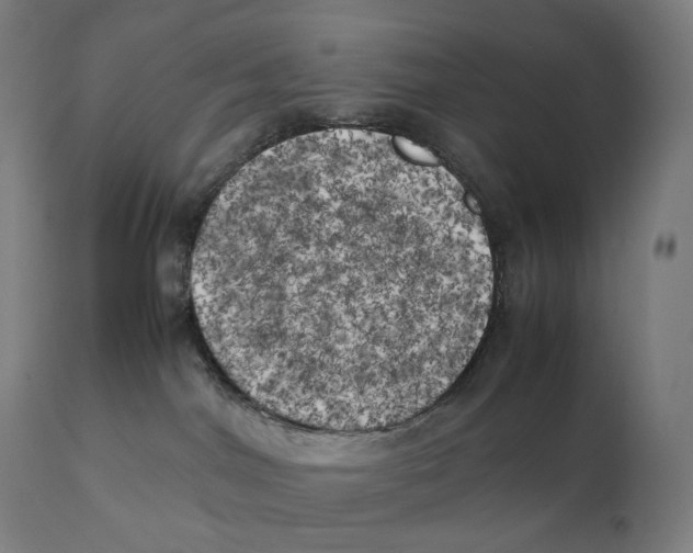 X0000111150044200907211213