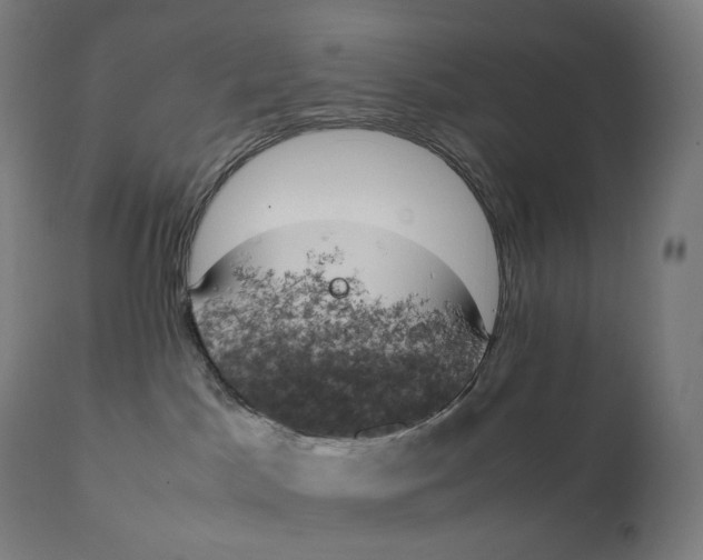 X0000111150045200907211213