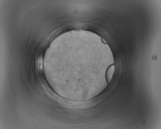 X0000111150046200907211213