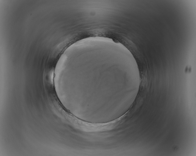 X0000111150047200907211213