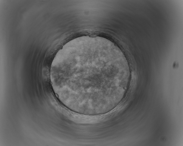 X0000111150048200907211213