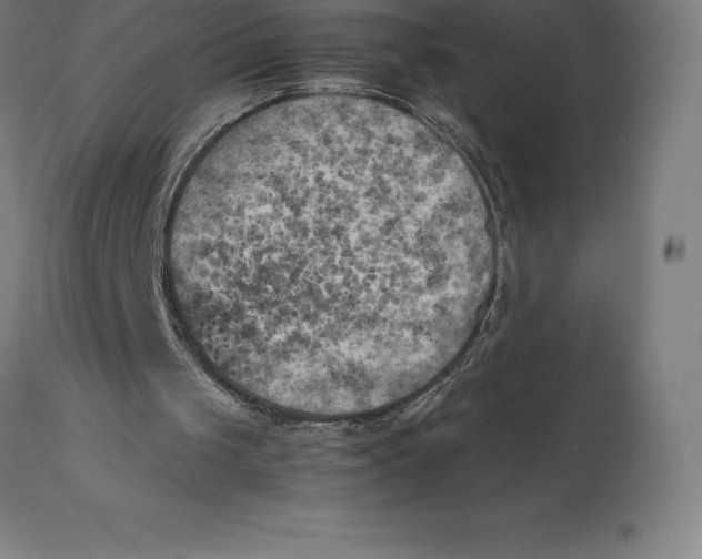 X0000111150049200907211213