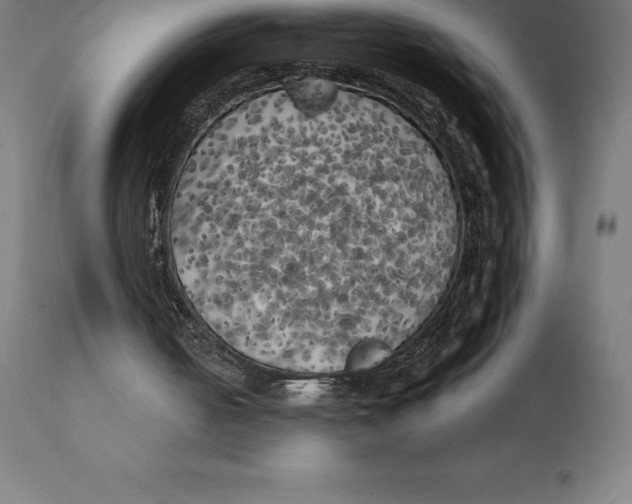 X0000111150050200907211213