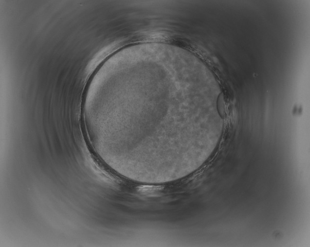 X0000111150051200907211213