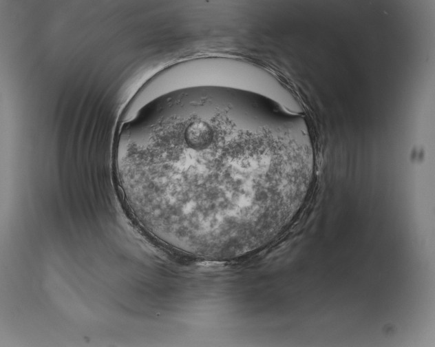 X0000111150052200907211213