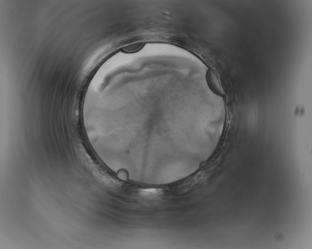 X0000111150053200907211213