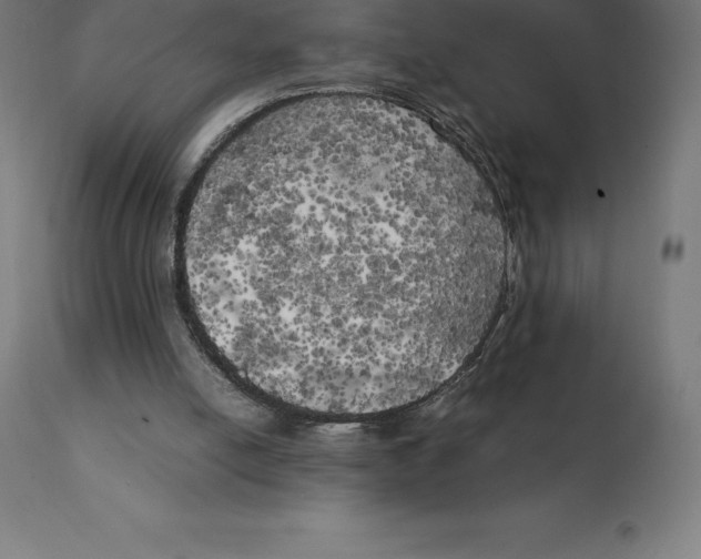 X0000111150054200907211213