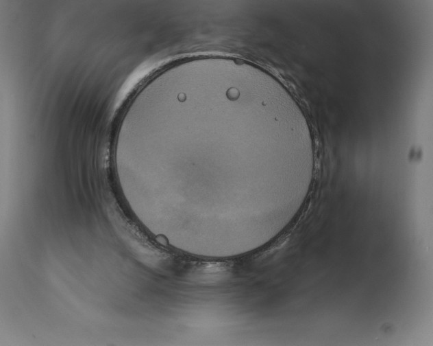 X0000111150056200907211213