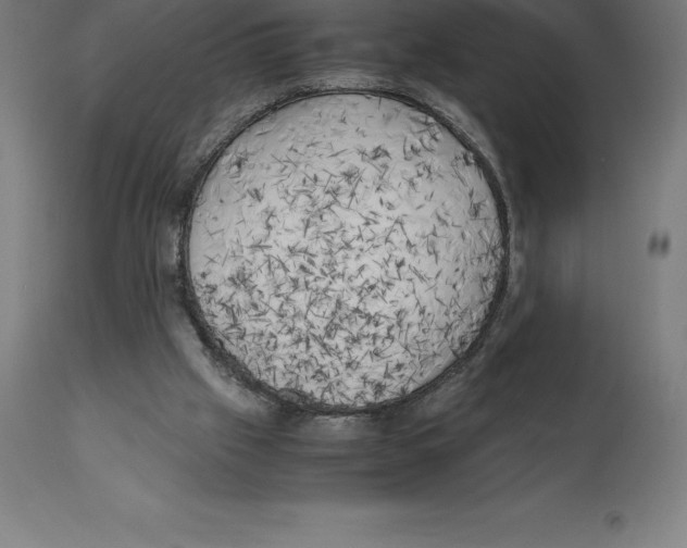 X0000111150057200907211213