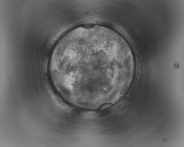 X0000111150058200907211213